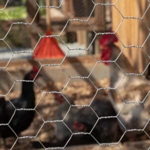 Tela Hexagonal Pinteiro BWG 22 1,00x50M - Image 3